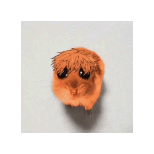hamster da zueira