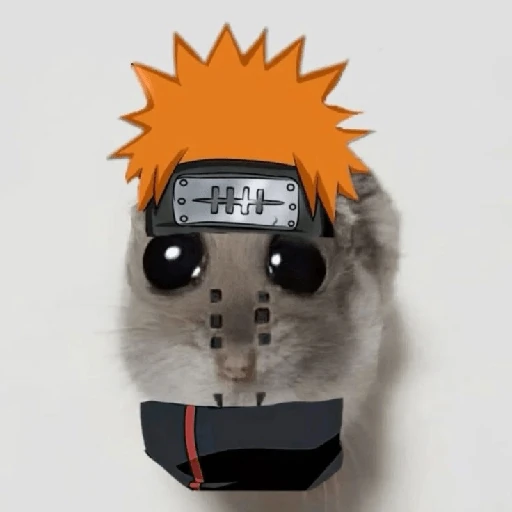 hamster da zueira