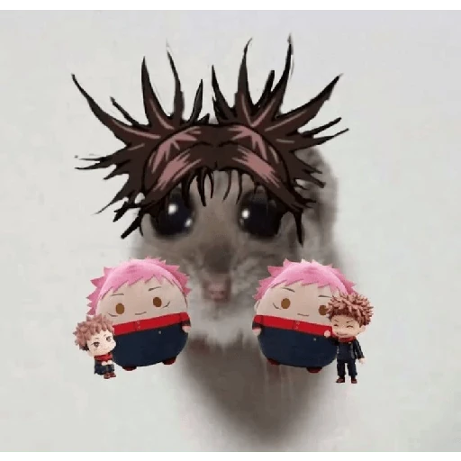 hamster da zueira