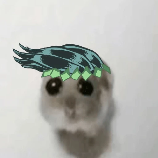 hamster da zueira