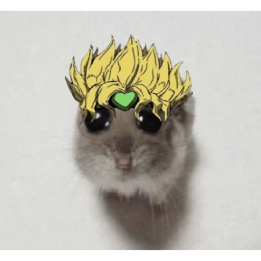 hamster da zueira