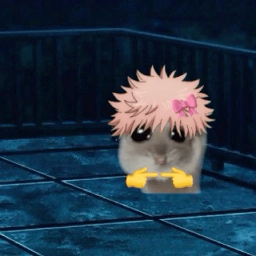 hamster da zueira