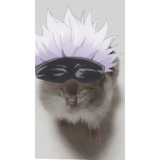 hamster da zueira