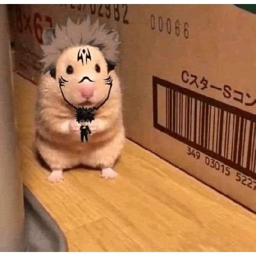 hamster da zueira