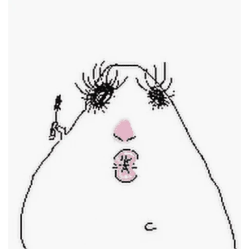 Hamster