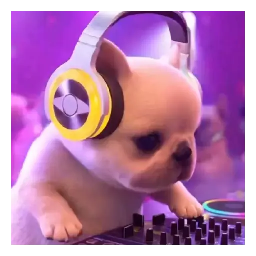 Pibble 🐾🐶