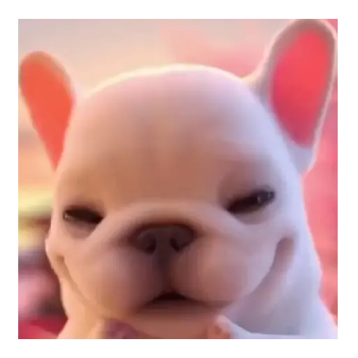 Pibble 🐾🐶