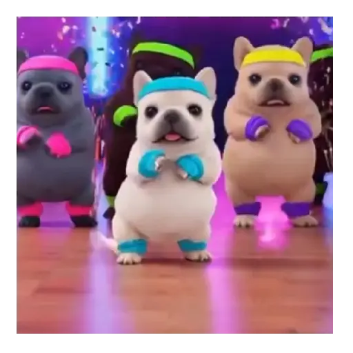 Pibble 🐾🐶