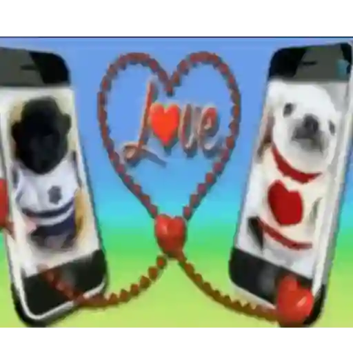 pibbles we