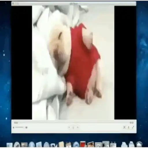 pibbles we