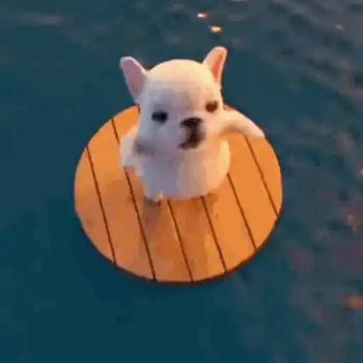 Pibble 🐶