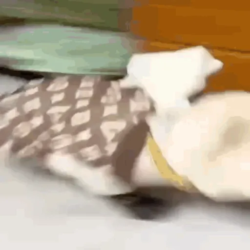 ❀ᮬ🐶⣧ ᩡᩡ Pibbles !©️Pochis