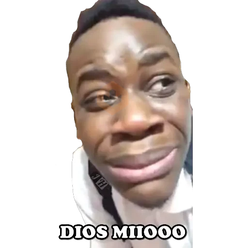 memes 6 sticker 12