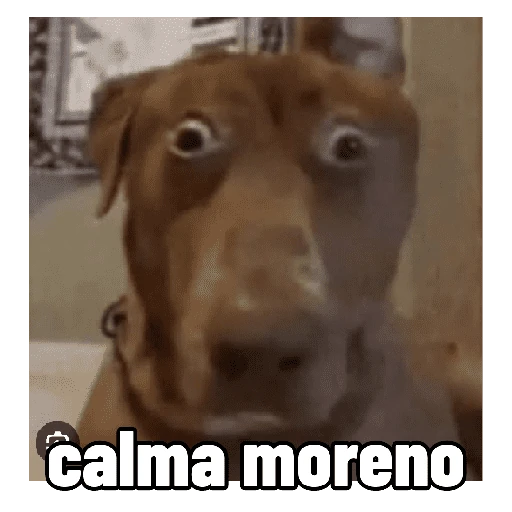 memes