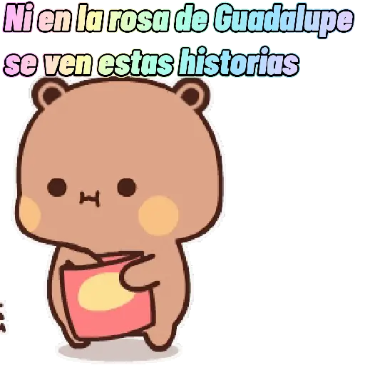 Dudito 🐻