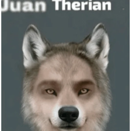 Juan de dios