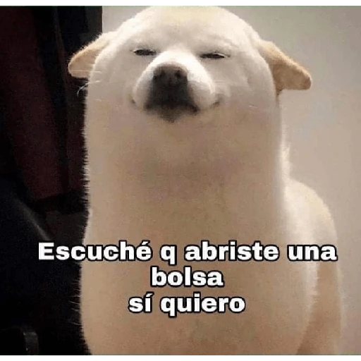 De todo un poco