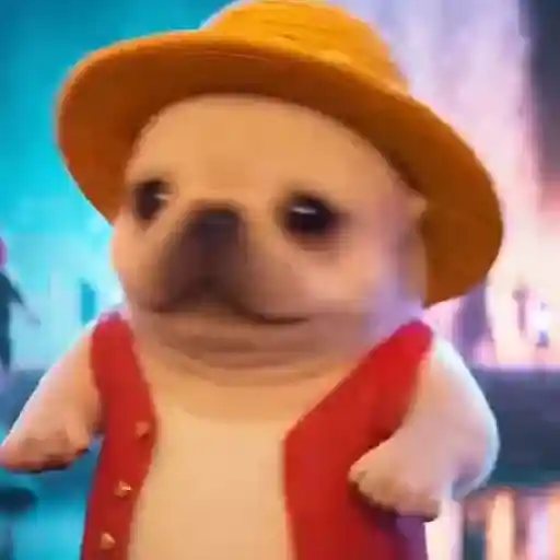 Perro Pibble Viral✨🐾