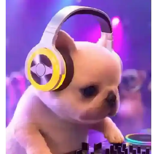 Perro Pibble Viral✨🐾