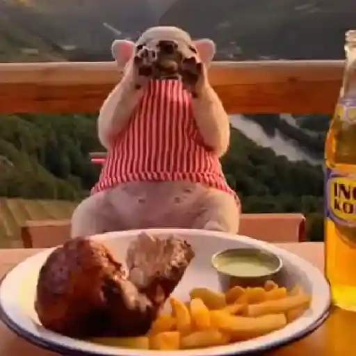 Perro Pibble Viral✨🐾