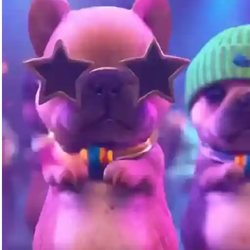 Perro Pibble Viral✨🐾
