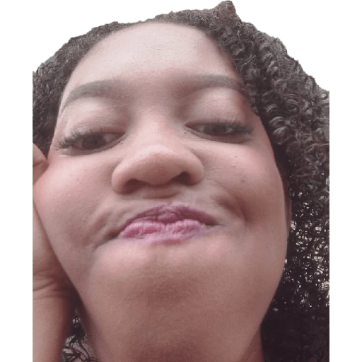 factos 2