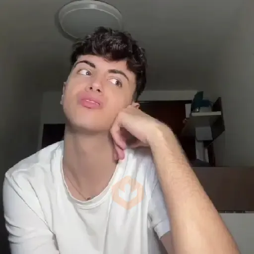 Tiktok Tendencia 2🫪🎵 sticker 11