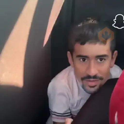 Tiktok Tendencia 2🫪🎵 sticker 16