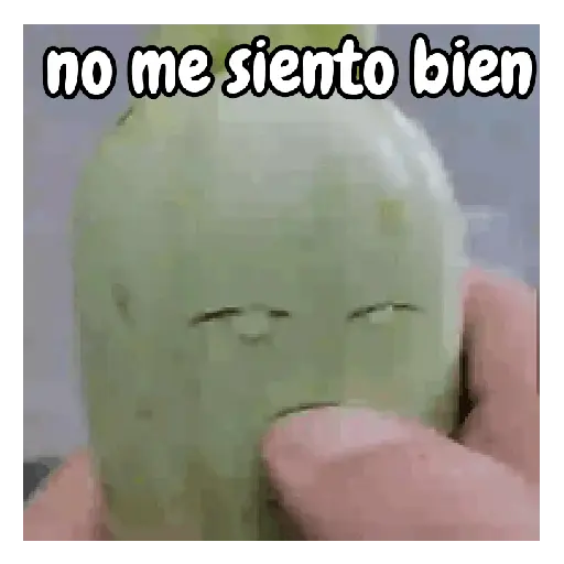 Memes pa' todos los días 😆✨