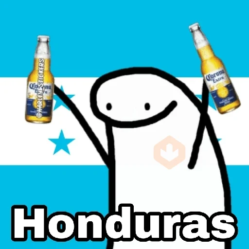 🌎Flork Países ⚽🥅🏆 sticker 15