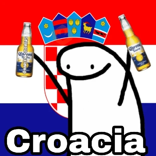 🌎Flork Países ⚽🥅🏆 sticker 28