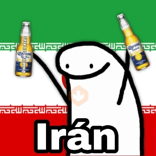 🌎Flork Países ⚽🥅🏆 sticker 20