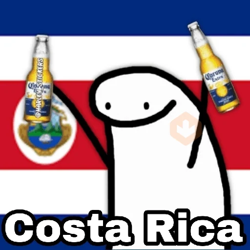 🌎Flork Países ⚽🥅🏆 sticker 22