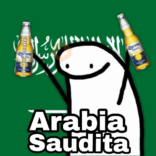 🌎Flork Países ⚽🥅🏆 sticker 19