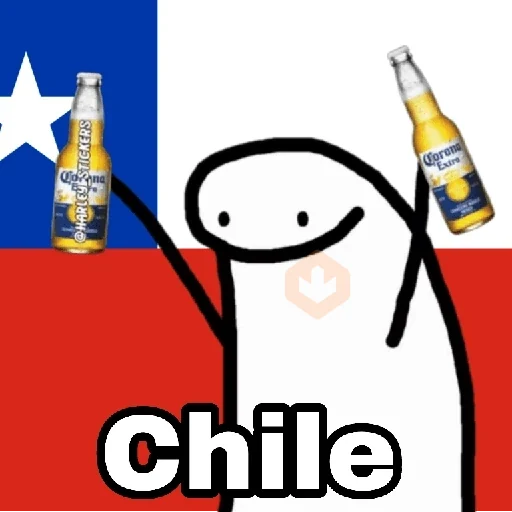 🌎Flork Países ⚽🥅🏆 sticker 14