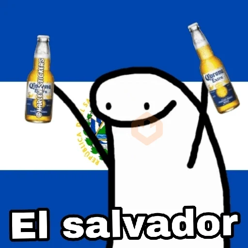 🌎Flork Países ⚽🥅🏆 sticker 29