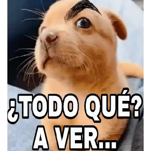 TODO QUÉ❓TODO ROJO❗