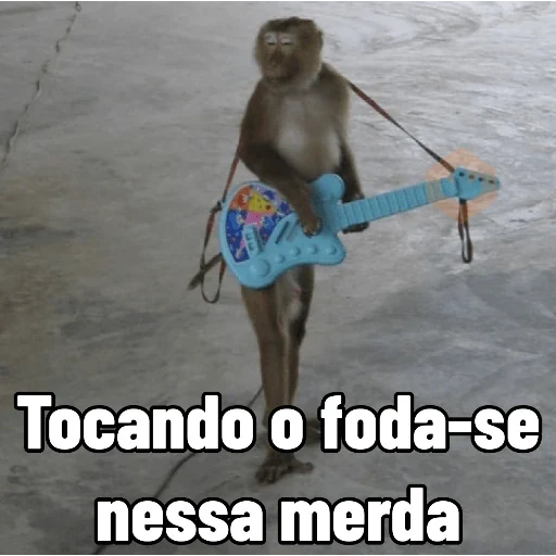 Memes de Macacos de todo tipo sticker 24
