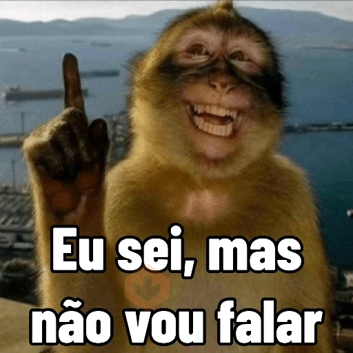 Memes de Macacos de todo tipo sticker 16