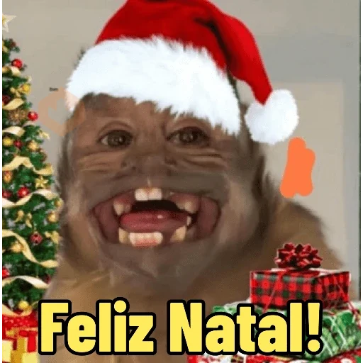 Memes de Macacos de todo tipo sticker 26