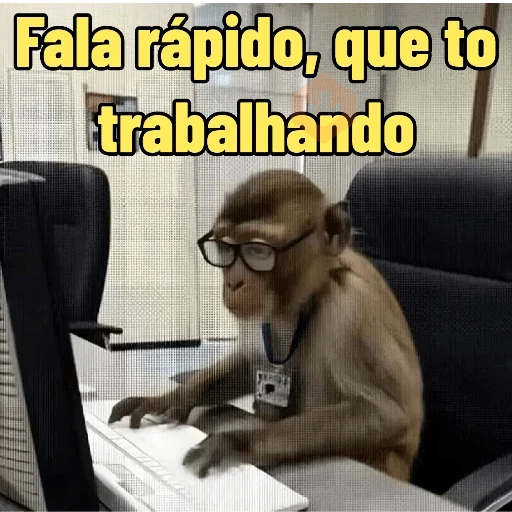 Memes de Macacos de todo tipo sticker 12