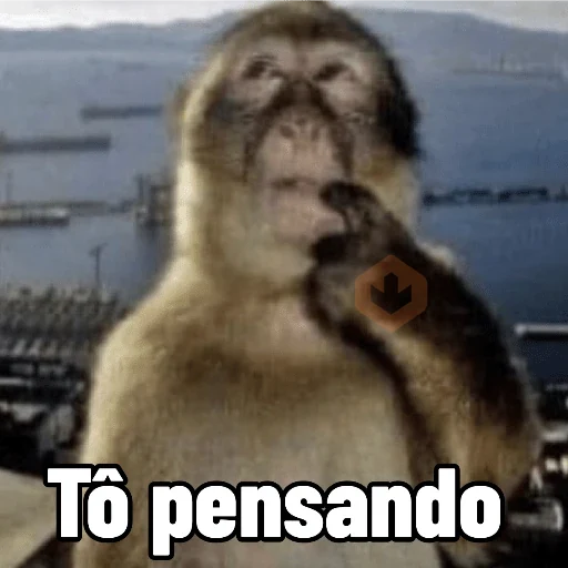 Memes de Macacos de todo tipo sticker 18