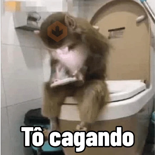 Memes de Macacos de todo tipo sticker 27