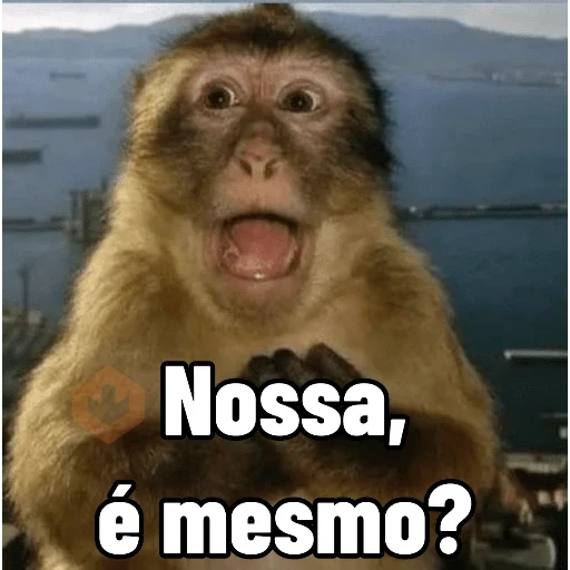 Memes de Macacos de todo tipo sticker 17