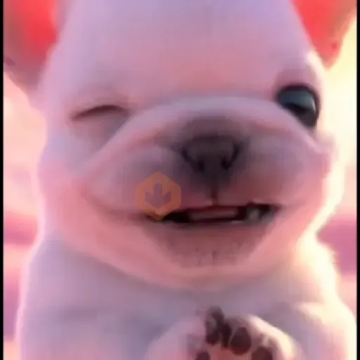 pibble perro Tiktok 😎 sticker 16