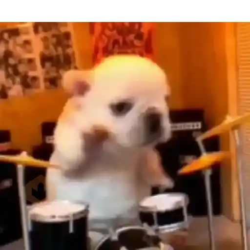 pibble perro Tiktok 😎 sticker 11
