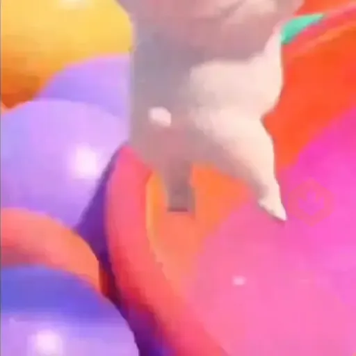 pibble perro Tiktok 😎 sticker 17