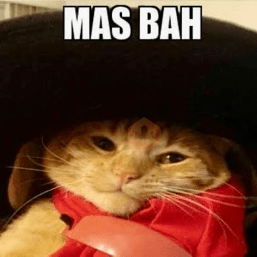 MEMETISMO & FRASES sticker 19