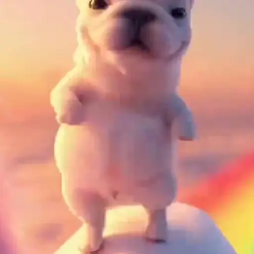 Pibble 🐶 Perro Pibble 🐶 preview