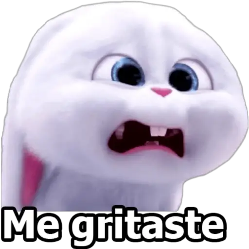 SNOWBALL 
